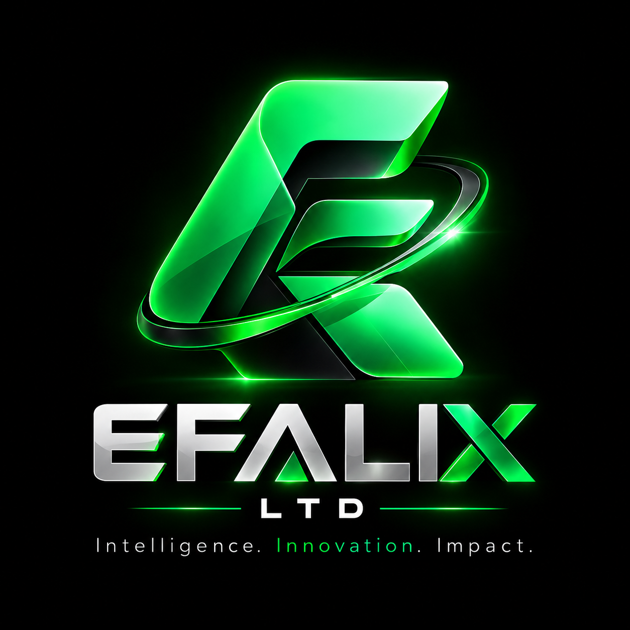 EFALIX LTD logo